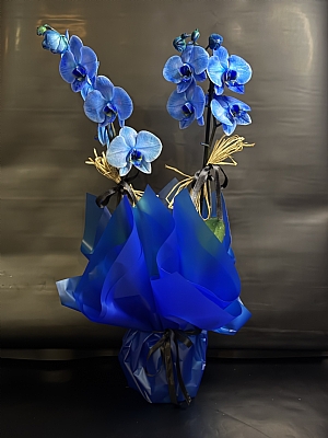 Orkide mavi 2`li saks� �i�e�i